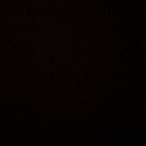 Meet your Posher, Abigail